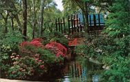 Descanso Gardens, La Canada - Source: Getty